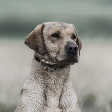 Load image into Gallery viewer, WetlandHunter® 1825X
